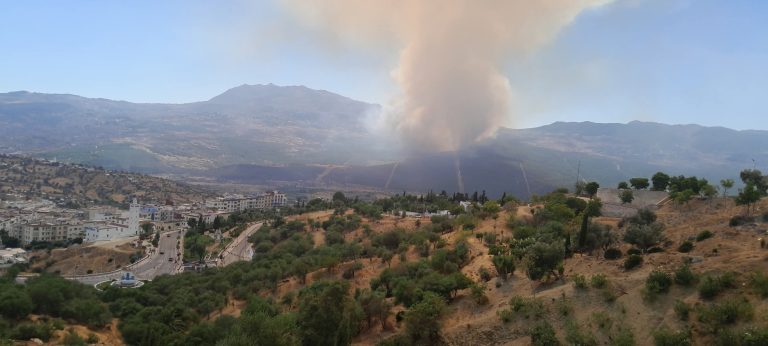 مصدر مسؤول لـ”طنجة+”: فرق الإطفاء في سباق مع الزمن لاحتواء حريق بني جبارة