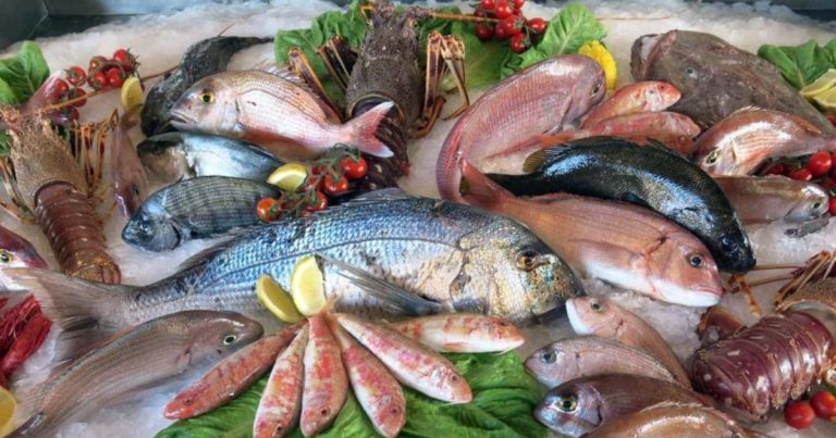 الحكومة تضع شروطا “جديدة” لممارسة تجارة السمك بالجملة