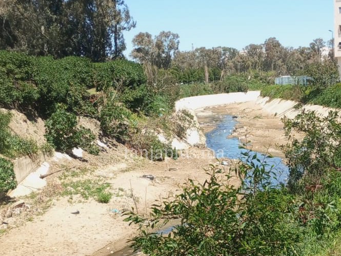 كارثة بيئية باكزناية.. “مجمع السفياني” يغرق في الروائح الكريهة والساكنة تستنجد