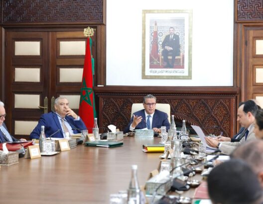 الحكومة تفرج عن تعيينات عليا ومشاريع قوانين تهم قطاعات الصحة والعدل والجمارك