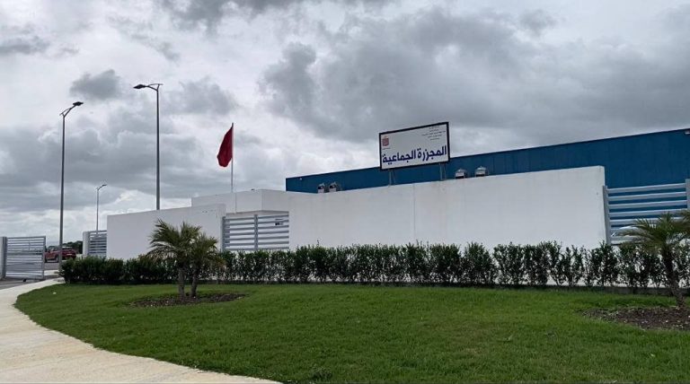 قرار “إخراج الجلود” يشعل الاحتجاج بمجزرة طنجة.. والطويل: الوضع البيئي لم يعد يطاق