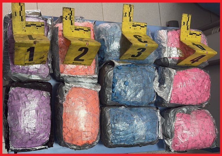 إحباط تهريب 19 ألف قرص “إكستازي” بميناء طنجة المتوسط