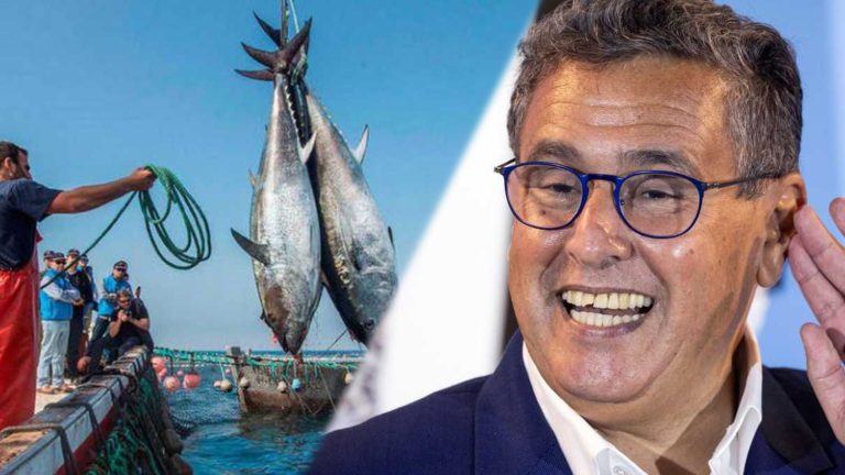 بسبب غلاء “الكازوال”.. مهنيو الصيد البحري بجهة طنجة يطالبون الحكومة بتسقيف الأسعار