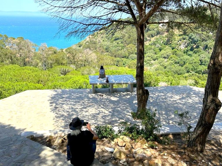 إطلاق طلب عروض لتشجير 40 هكتارا بغابة “دونابو” بطنجة