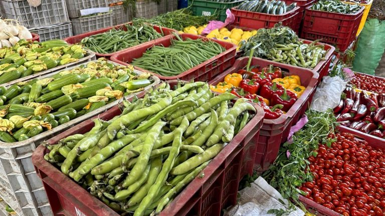 ارتفاع أسعار الخضر بطنجة يثير قلق المستهلكين