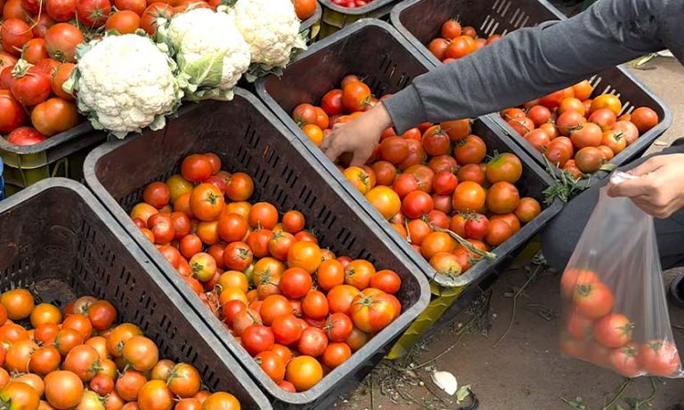 أسعار الطماطم تلهب جيوب المغاربة.. وحماة المستهلك يحذرون