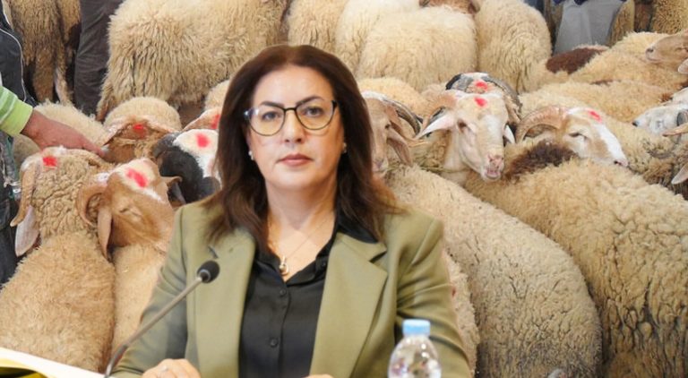 الدمناتي تسائل وزير الفلاحة عن الارتفاع الصاروخي لأسعار الأضاحي رغم دعم المستوردين