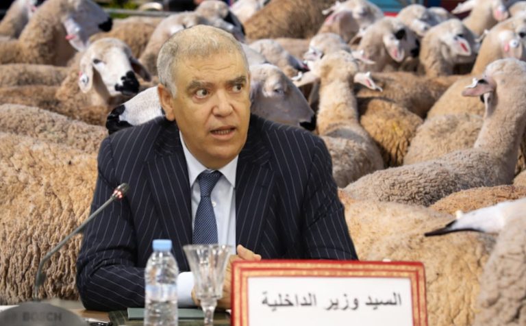 إجراء استثنائي لـ”الداخلية”.. إعفاء مؤقت من رسوم دخول أسواق الماشية لتسهيل اقتناء الأضاحي