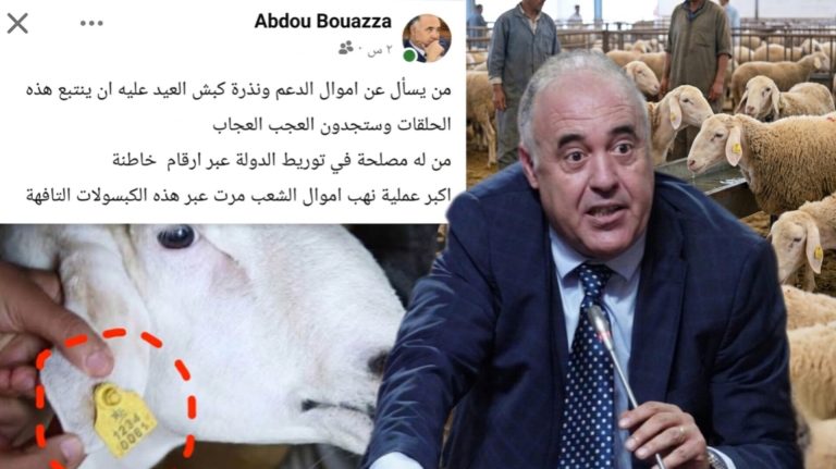 البرلماني بوعزة: أكبر عملية نهب لأموال الشعب مرت عبر حلقات ترقيم الماشية