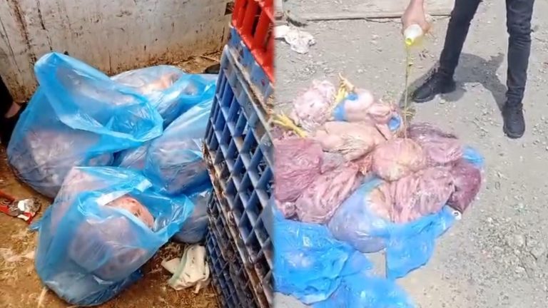طنجة.. حجز كمية مهمة من الدجاج الفاسد بسوق “الوردة”