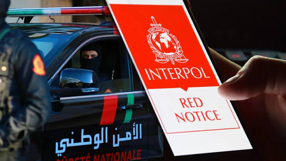 بتنسيق مع “الإنتربول”.. الأمن الوطني يوقف 11 مبحوثا عنهم دوليا بطنجة ومراكش