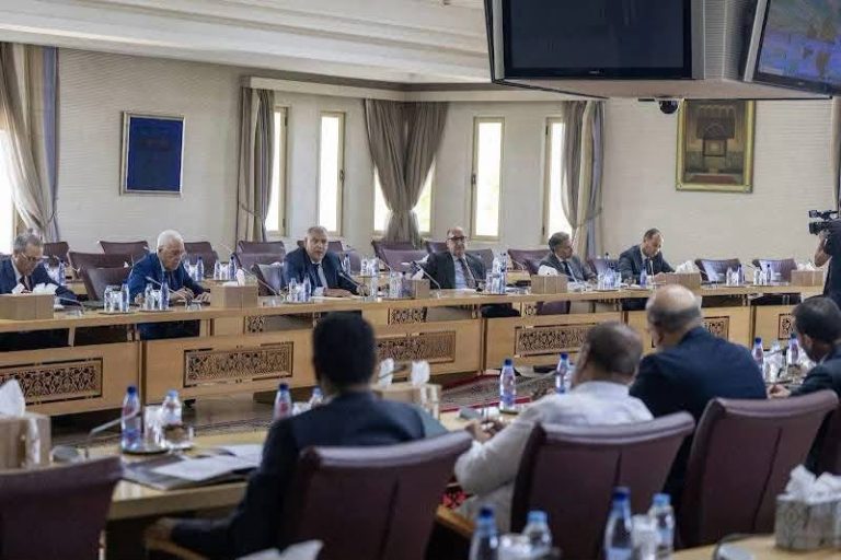 وزير الداخلية يستعرض مع قادة الأحزاب التدابير التنظيمية للانتخابات التشريعية لـ 23 شتنبر