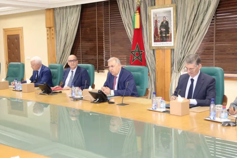 الداخلية تفعل لجان تتبع نزاهة الانتخابات التشريعية