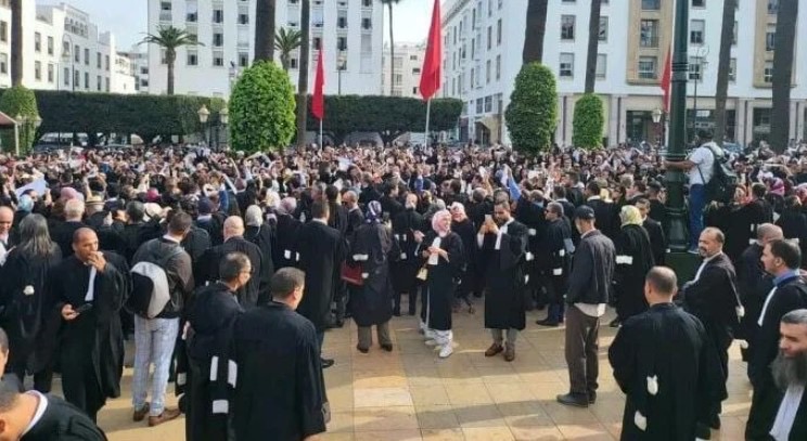“المحاماة في صف الوطن”.. أصحاب البذلة السوداء يرفضون توظيف خلافاتهم المهنية للإساءة للمملكة