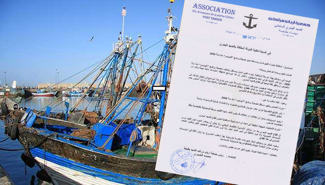 رسالة “أرباب مراكب الصيد” بميناء طنجة تفتح باب التساؤلات.. هل تحولت مطالب مهنية إلى حملة انتخابية سابقة لأوانها؟